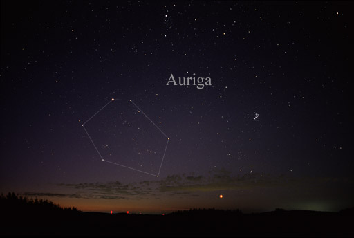 Auriga - Fuhrmann