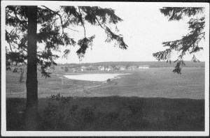 sumpfteichbuntenbock