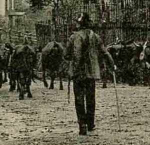 kur-kapelle-Kuhirte-Detail