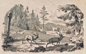 2 Web-pic_2015-04-20_105129